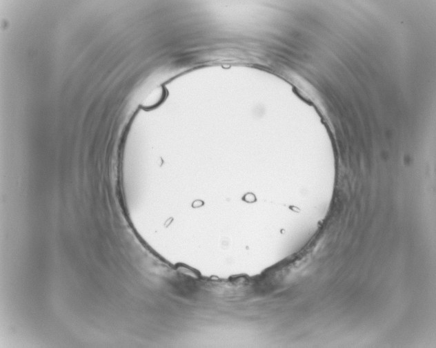 X0000088171195200706051109