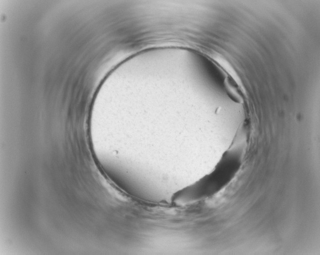 X0000088171197200706051108