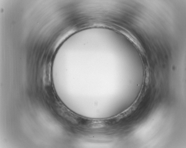 X0000088171198200706051108