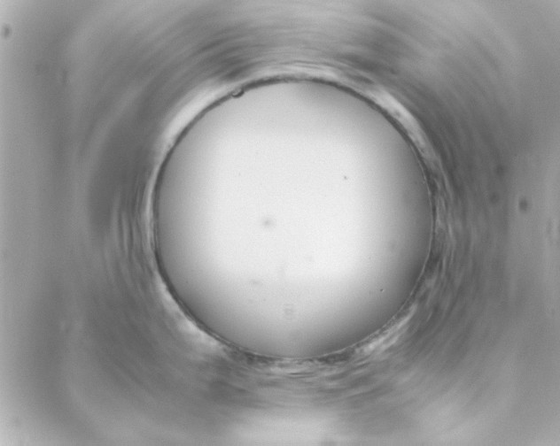 X0000088171199200706051108