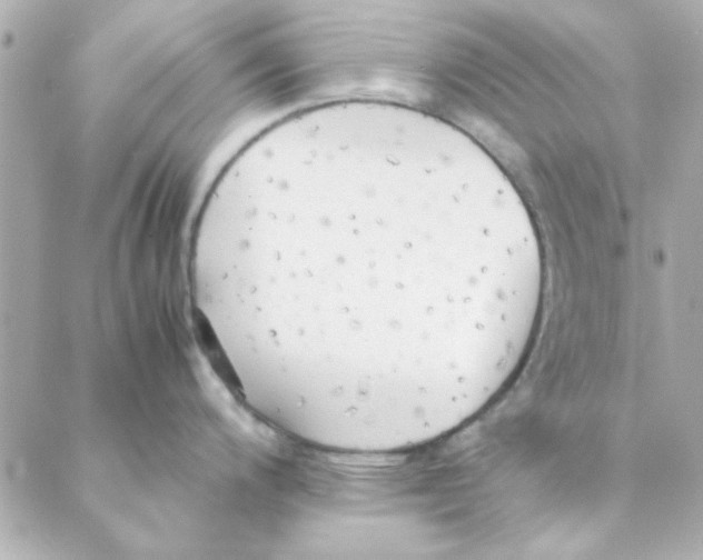 X0000088171200200706051108