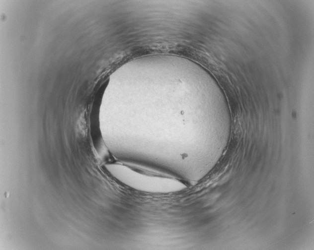 X0000088171202200706051108