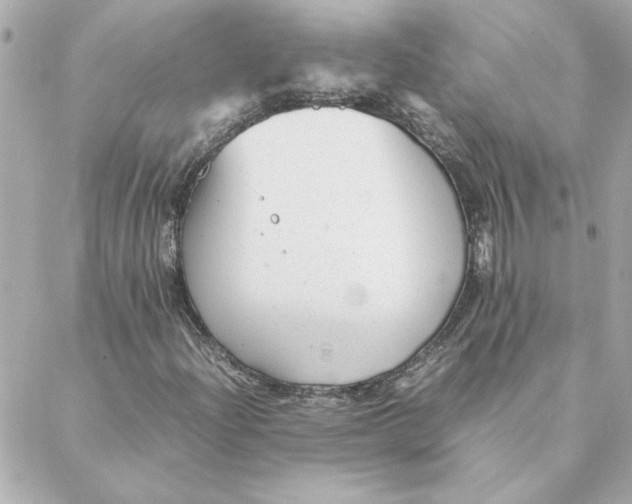 X0000088171204200706051108