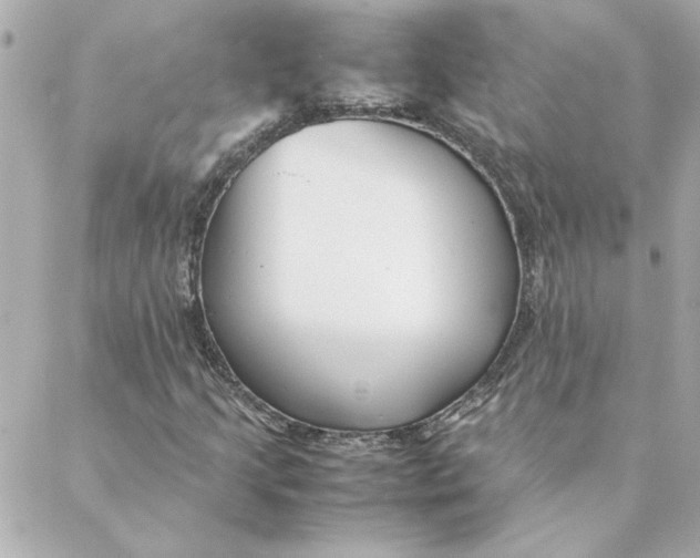 X0000088171205200706051108