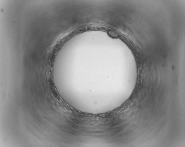 X0000088171207200706051108