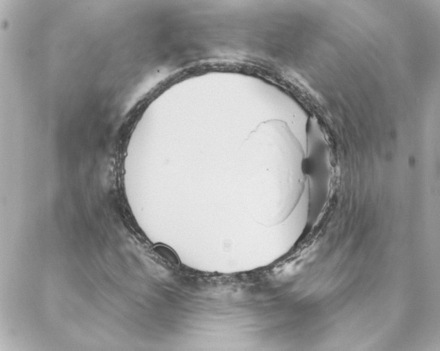 X0000088171208200706051108