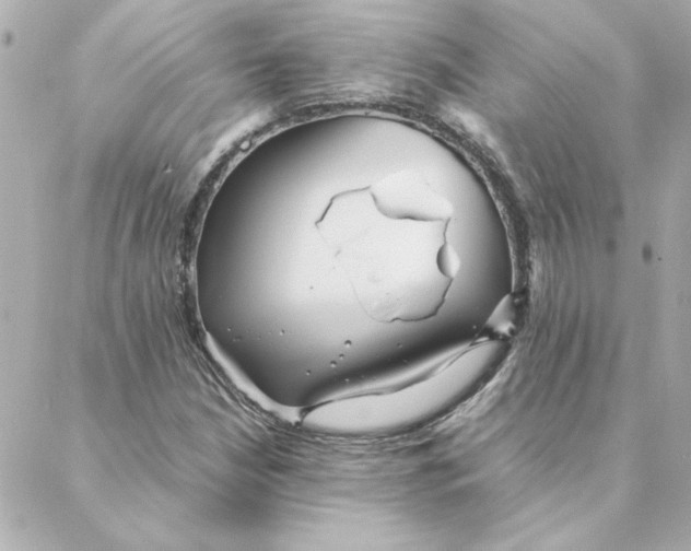 X0000088171210200706051108