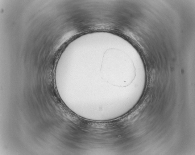 X0000088171211200706051108