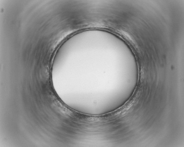 X0000088171212200706051108