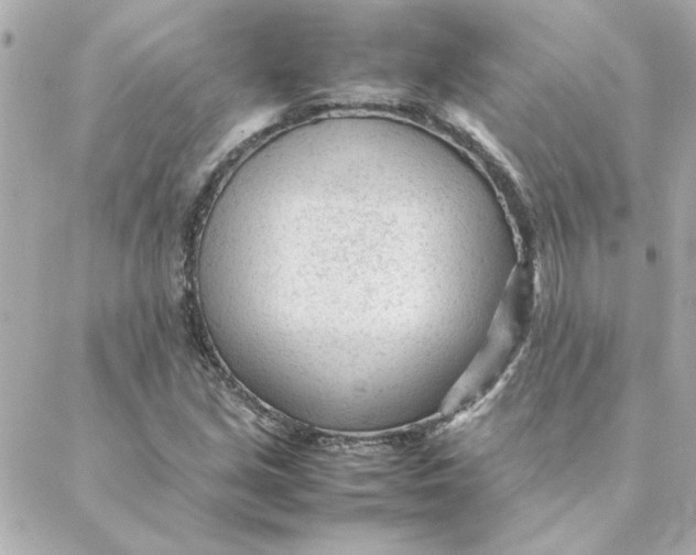 X0000088171213200706051108