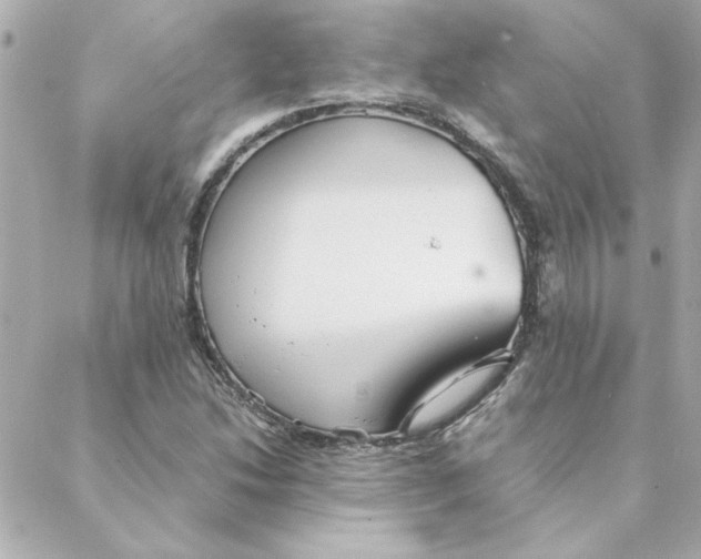 X0000088171214200706051108