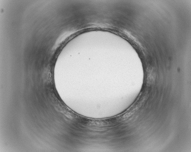 X0000088171215200706051108