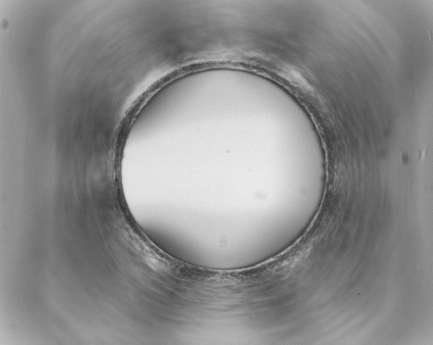 X0000088171216200706051108