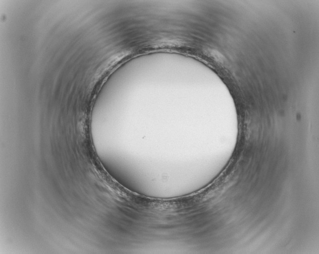 X0000088171217200706051108