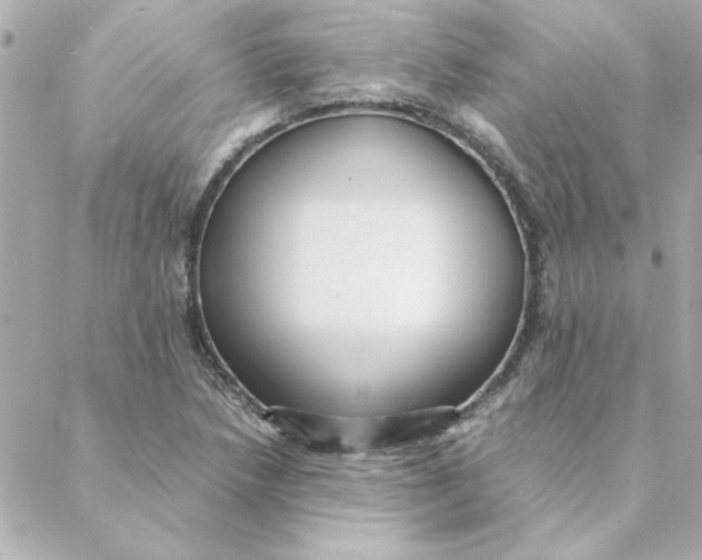 X0000088171218200706051108