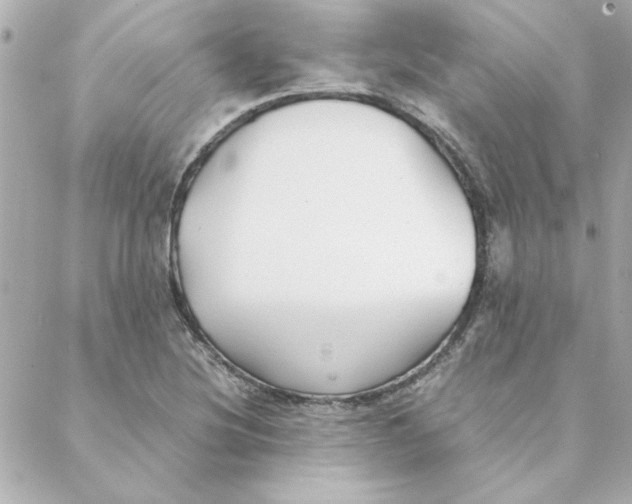 X0000088171220200706051108