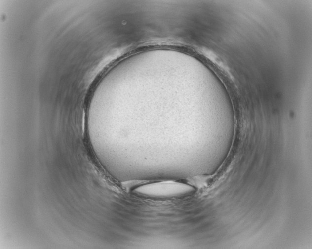 X0000088171221200706051108