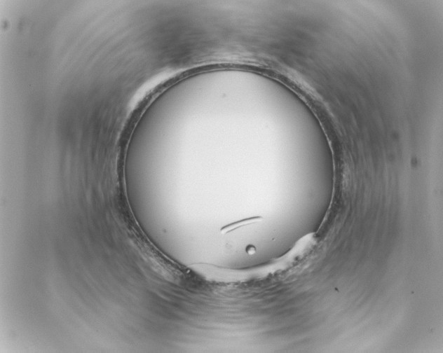 X0000088171222200706051108