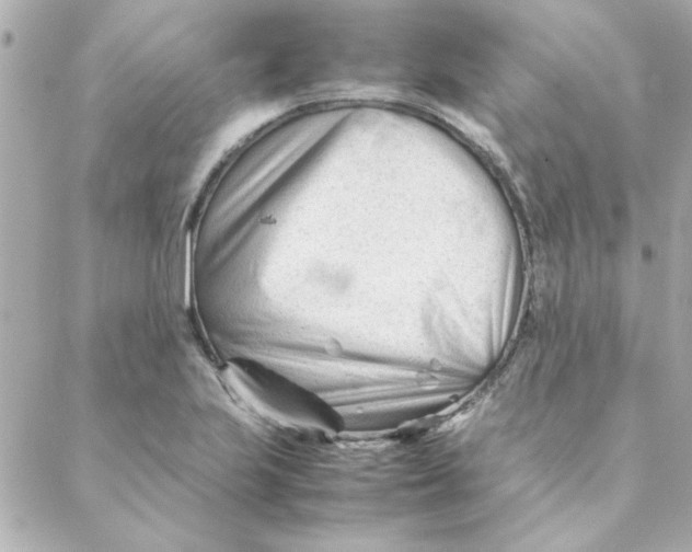 X0000088171223200706051108