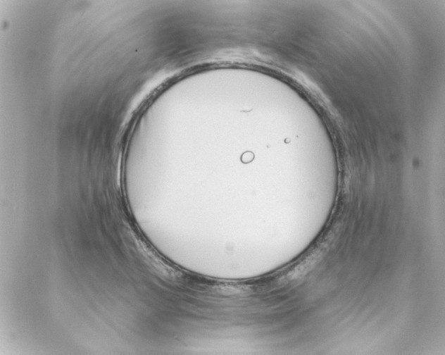 X0000088171224200706051108