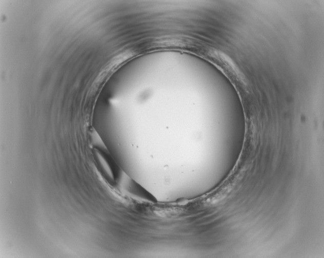 X0000088171225200706051108