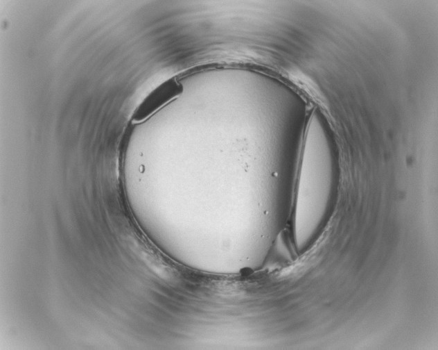 X0000088171226200706051108