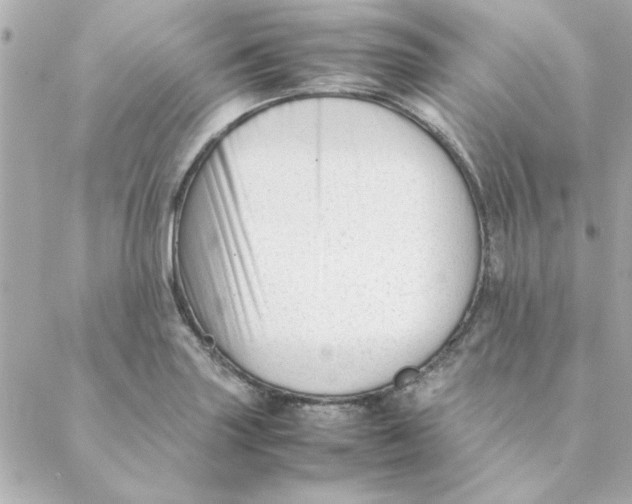 X0000088171227200706051108