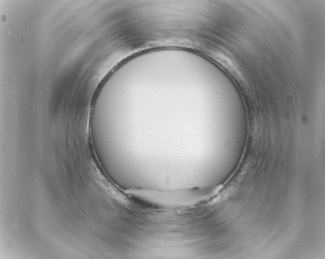 X0000088171228200706051108