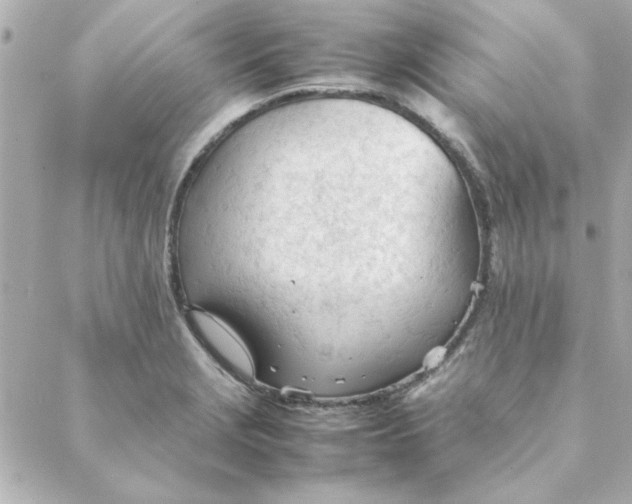 X0000088171229200706051108