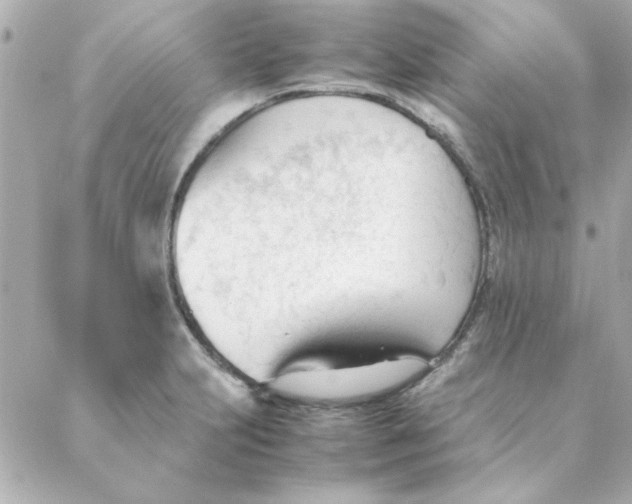 X0000088171231200706051108