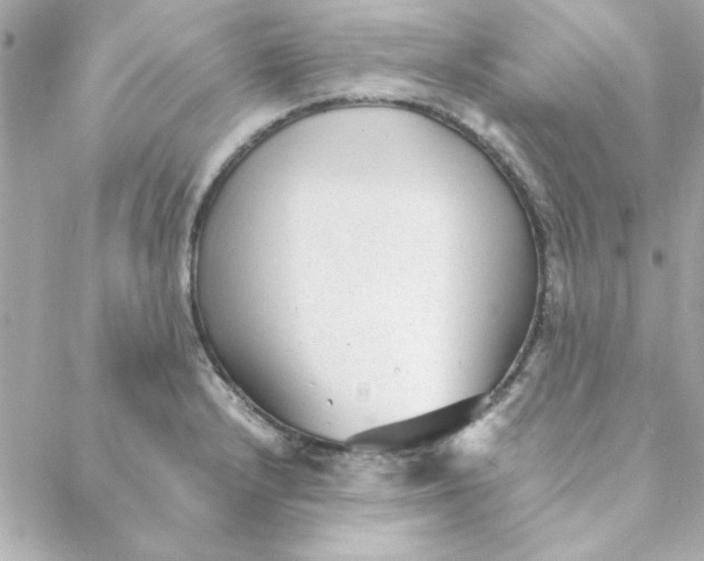 X0000088171232200706051108