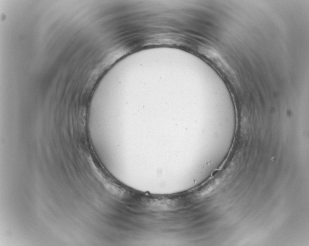 X0000088171233200706051108