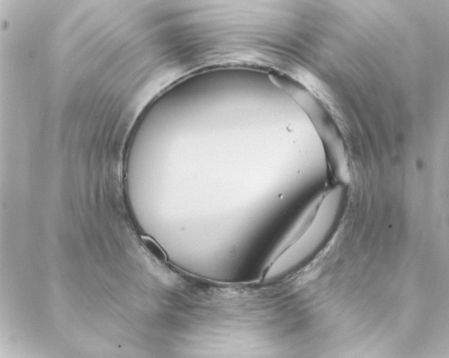 X0000088171234200706051108