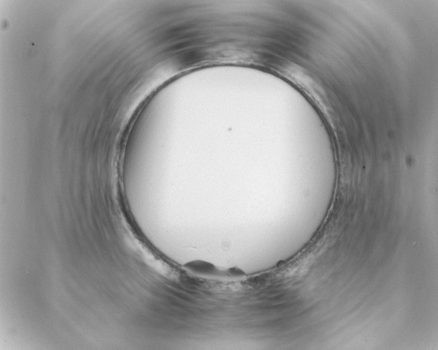 X0000088171235200706051108