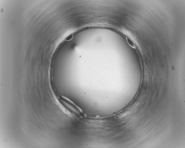 X0000088171237200706051108