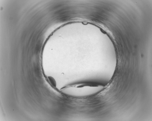 X0000088171239200706051108