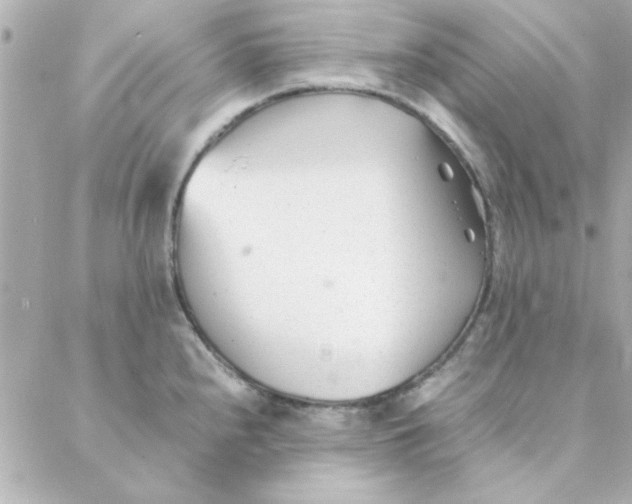 X0000088171240200706051108