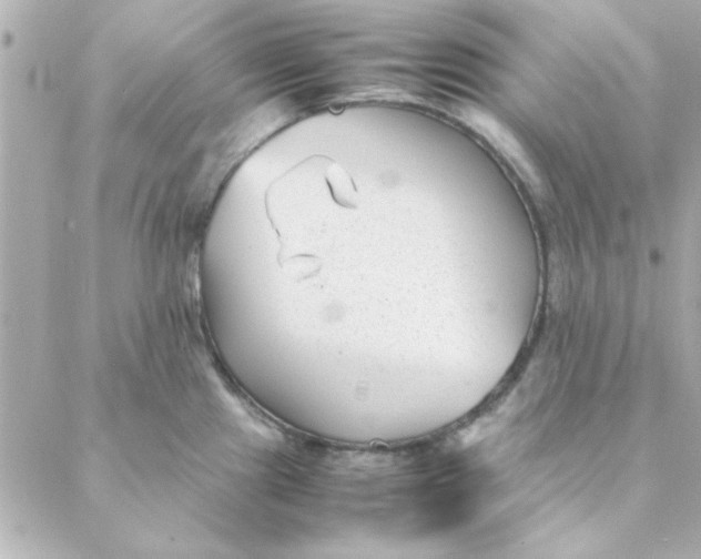 X0000088171241200706051108