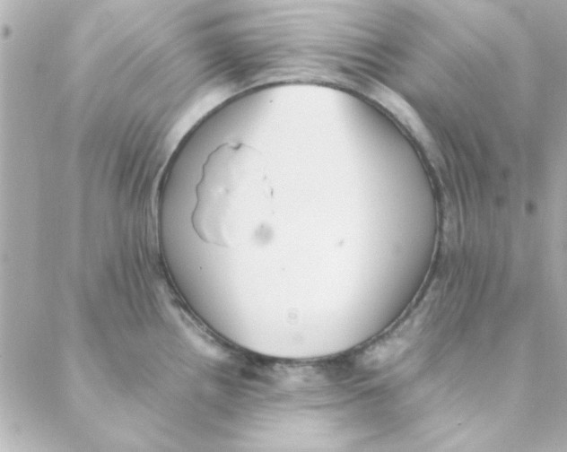 X0000088171242200706051108