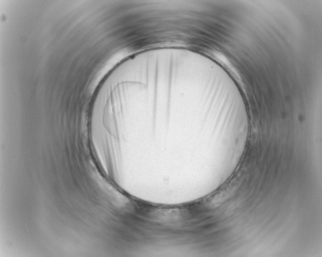 X0000088171243200706051108