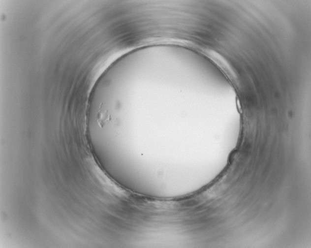 X0000088171244200706051108