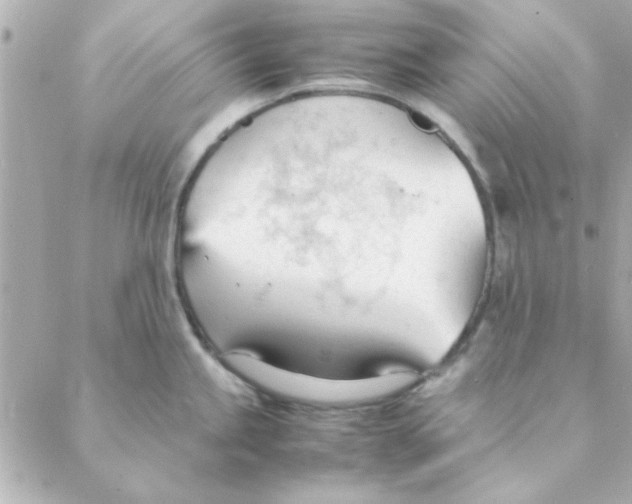 X0000088171245200706051108