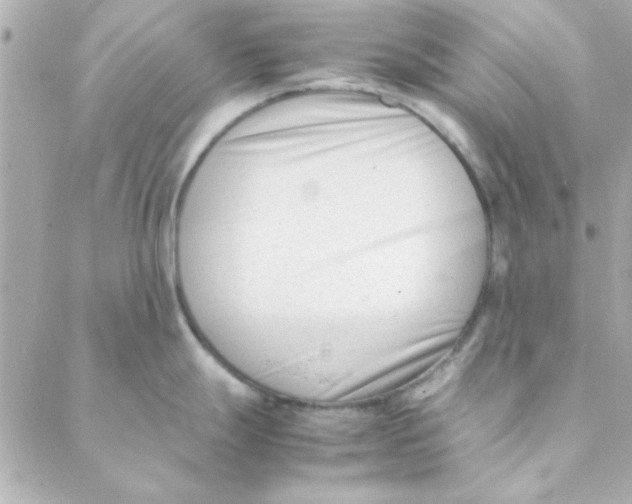 X0000088171247200706051108