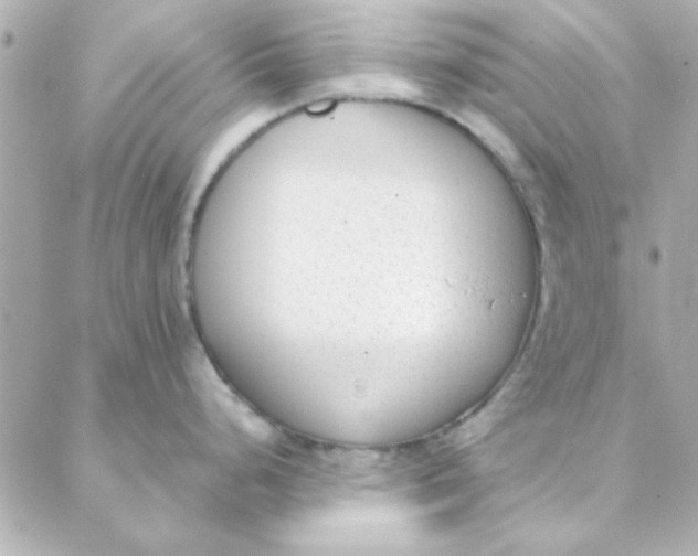 X0000088171248200706051108