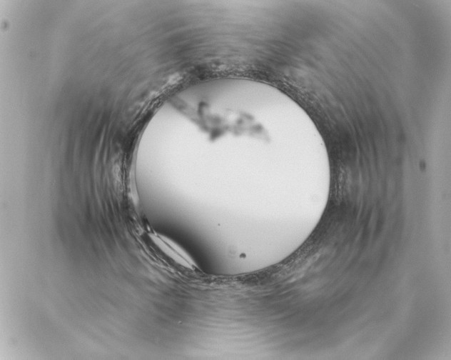 X0000088171250200706051108