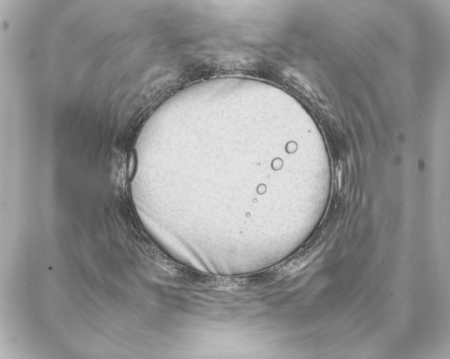 X0000088171251200706051108