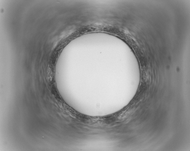 X0000088171253200706051108