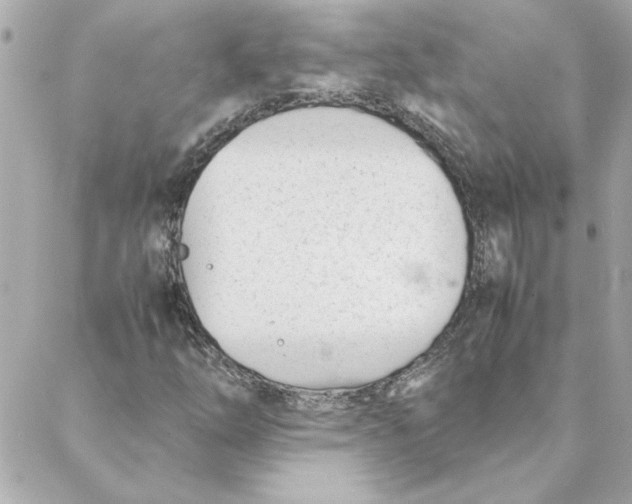 X0000088171254200706051108