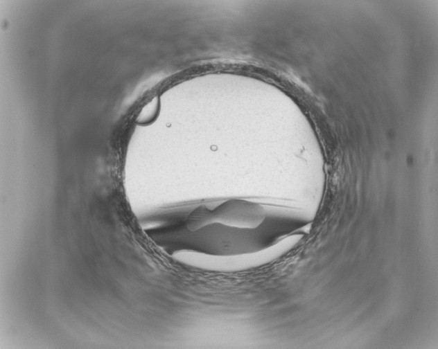 X0000088171255200706051108