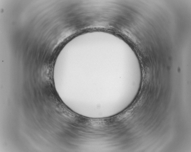 X0000088171258200706051107